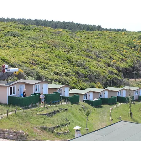 Kamp alanı Sahil Kamp *