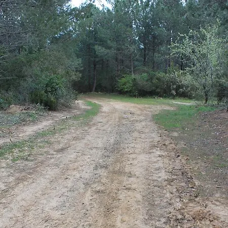 Sahil Kamp Campsite *
